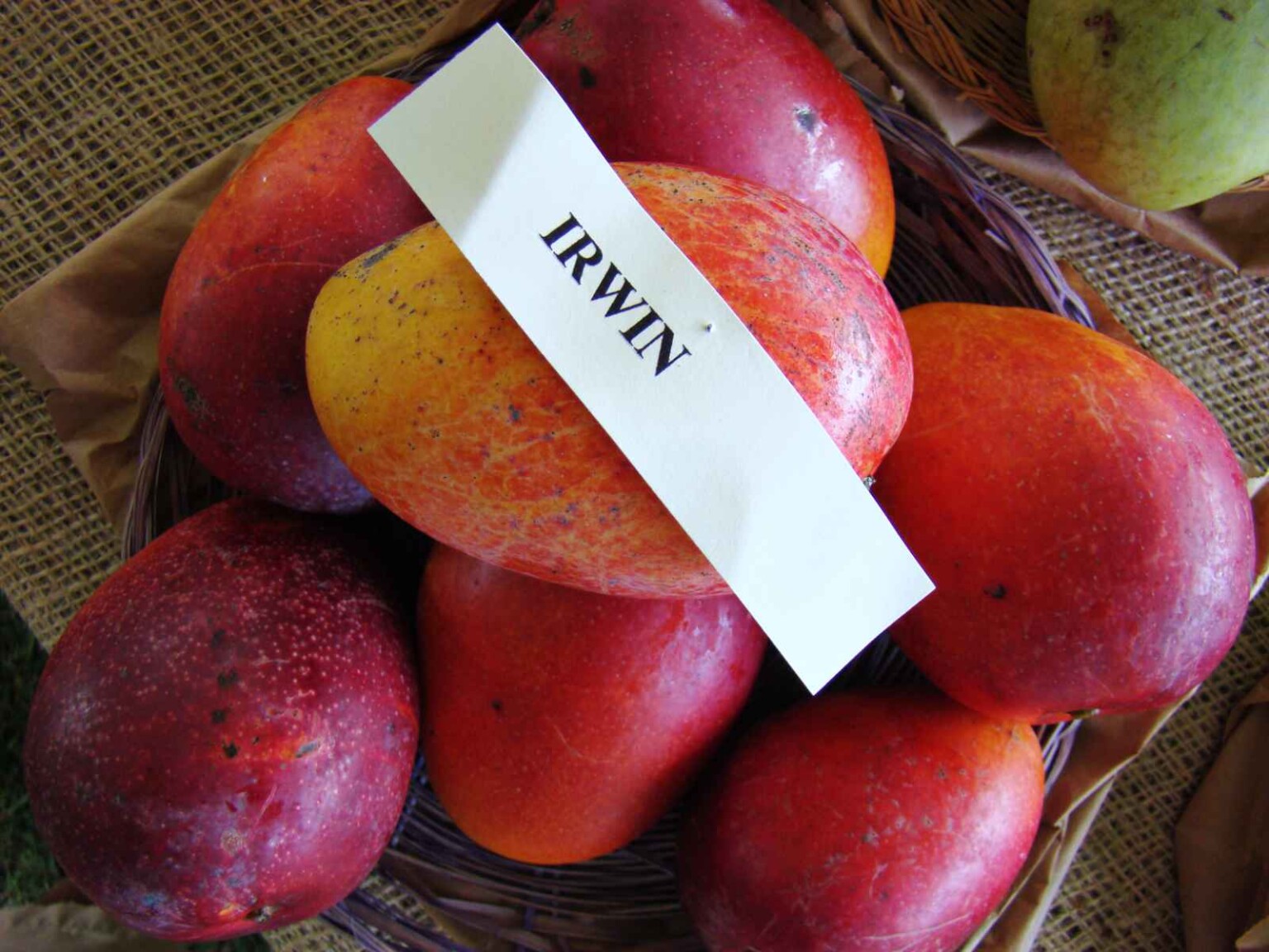 49 Types of Mangoes 🥭 A to Z Photos Defined Butter N Thyme
