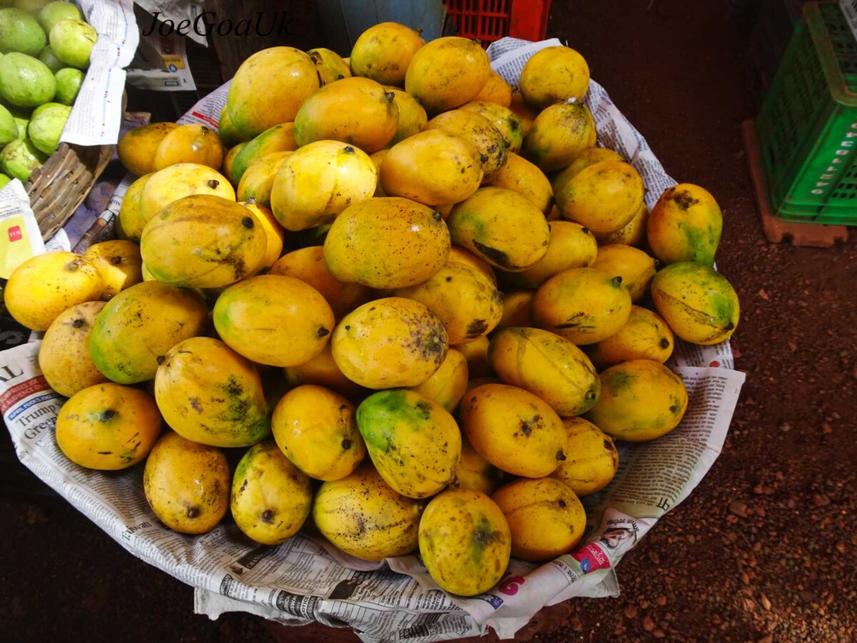 49 Types of Mangoes 🥭 A to Z Photos Defined Butter N Thyme