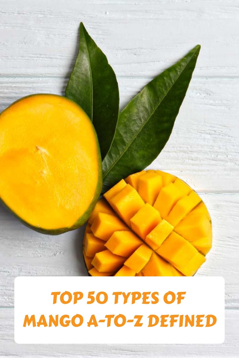 Types of Mangoes.