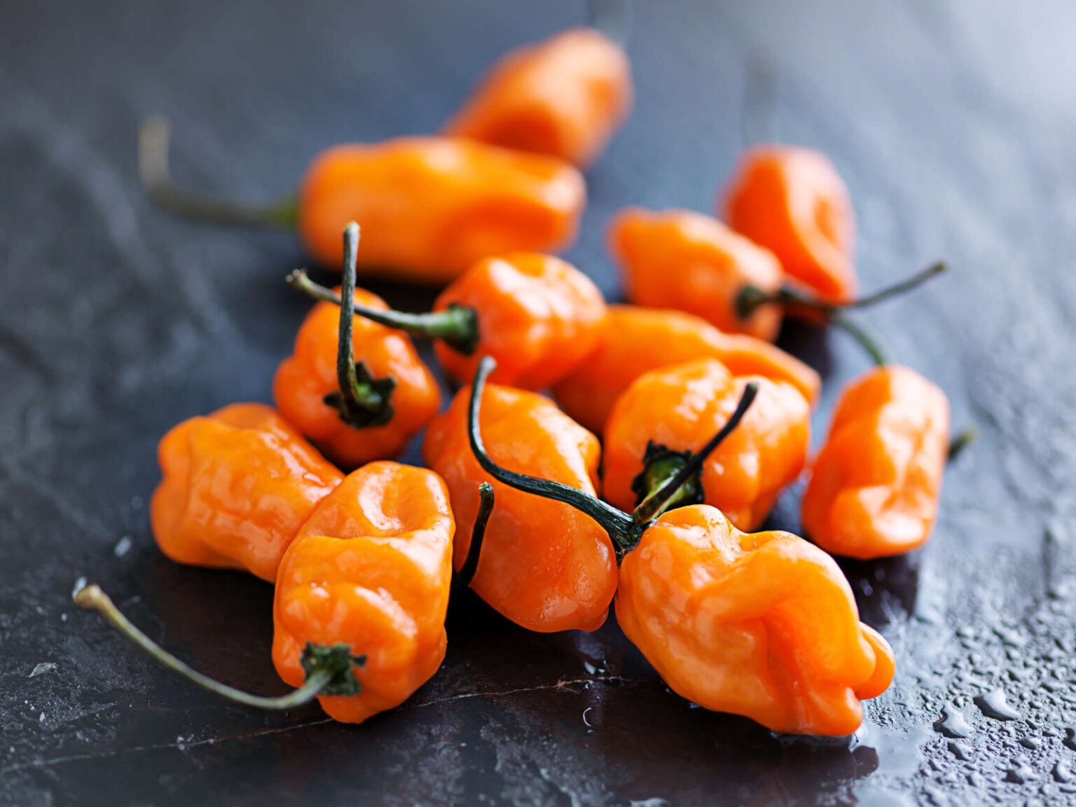 Habanero Peppers🌶️ Uses, Facts, Recipes Butter N Thyme