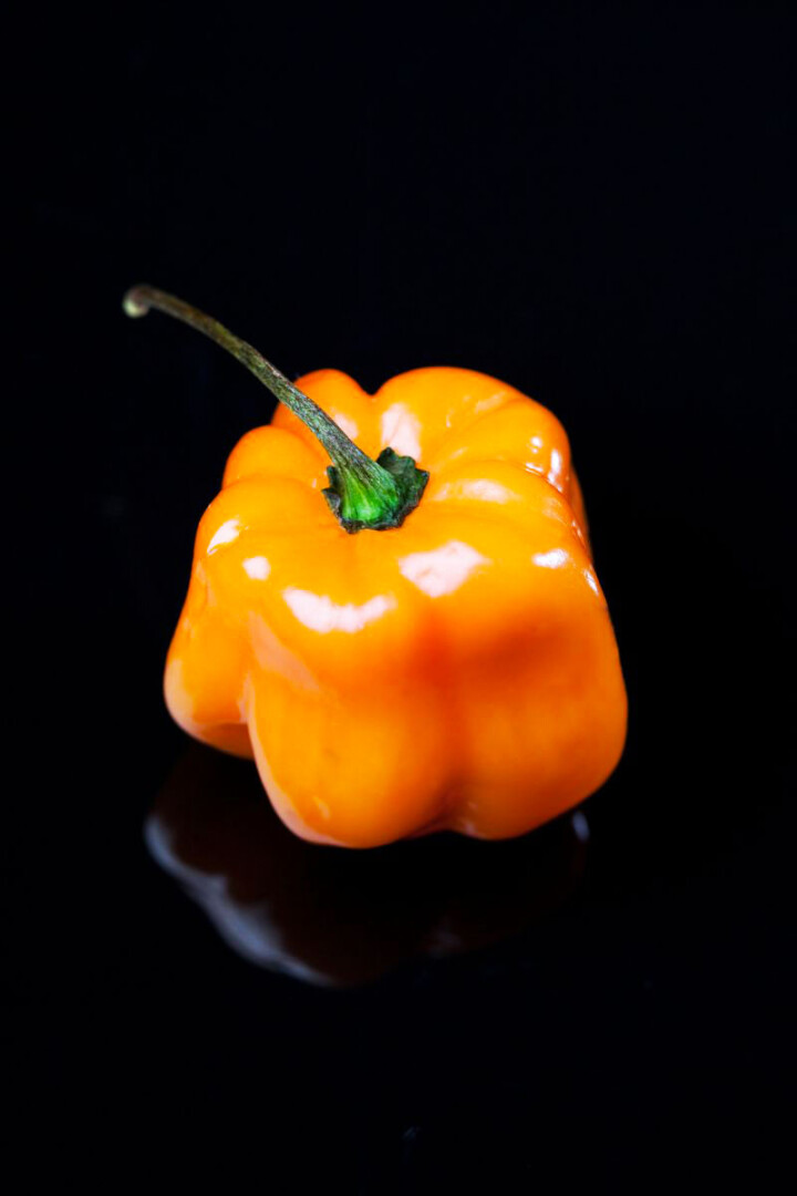 Habanero Peppers🌶️ Uses, Facts, Recipes Butter N Thyme