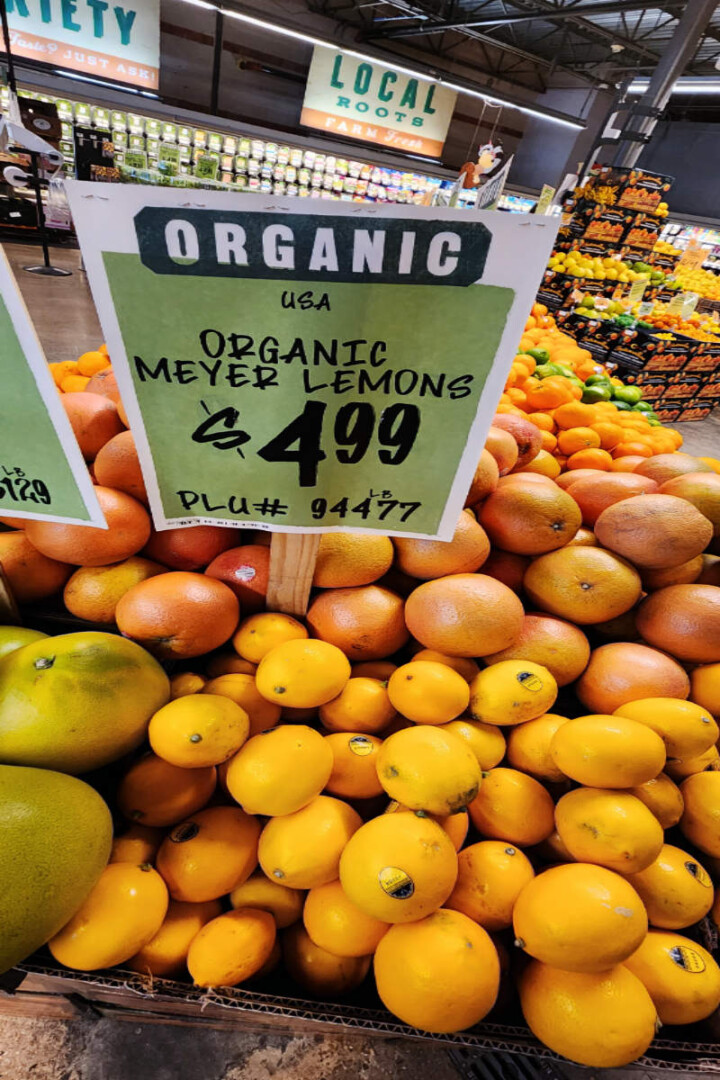 36 Types of Lemons 🍋 AtoZ Photos Butter N Thyme