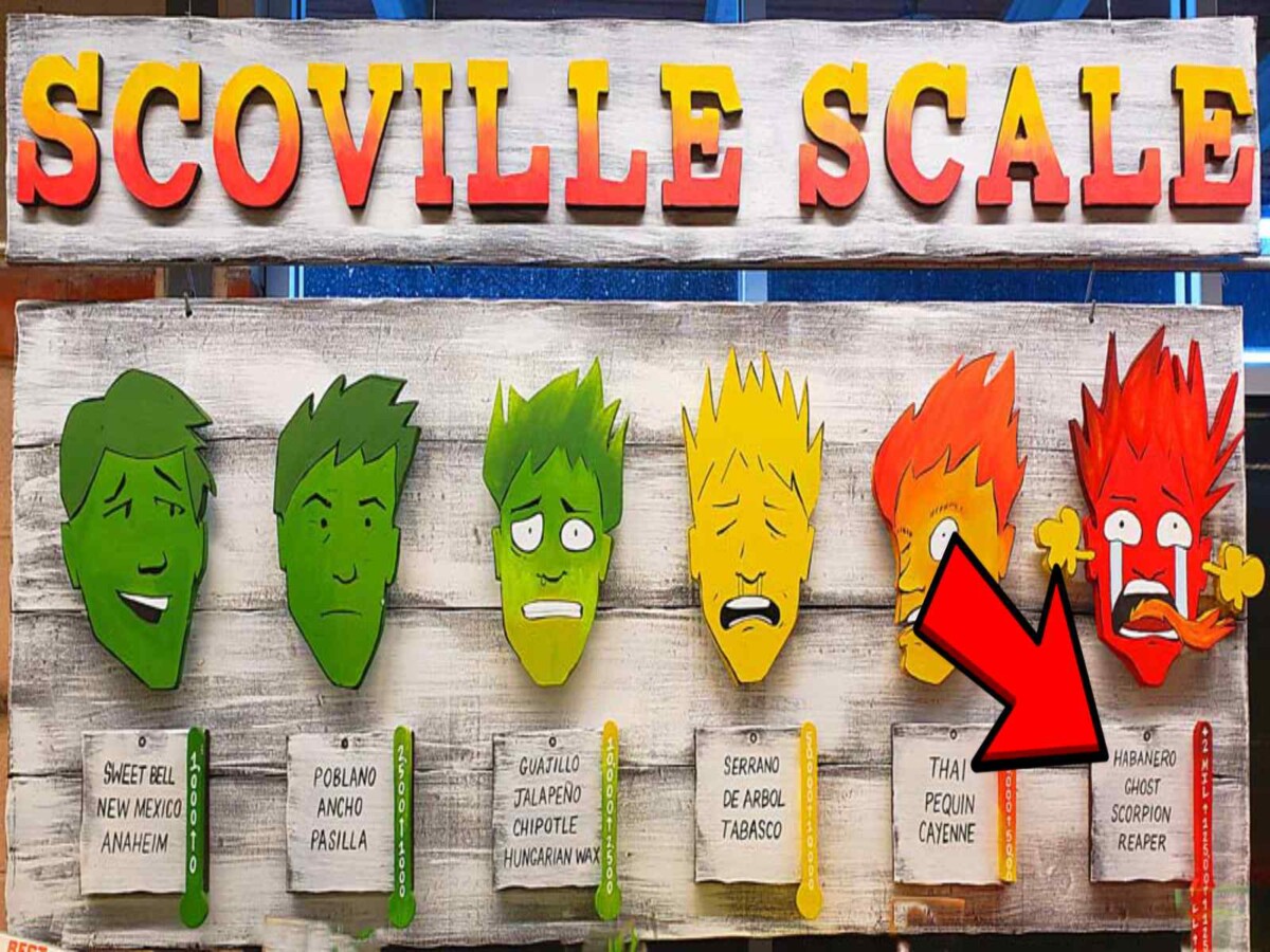 Habanero Peppers🌶️ Uses, Facts, Recipes Butter N Thyme