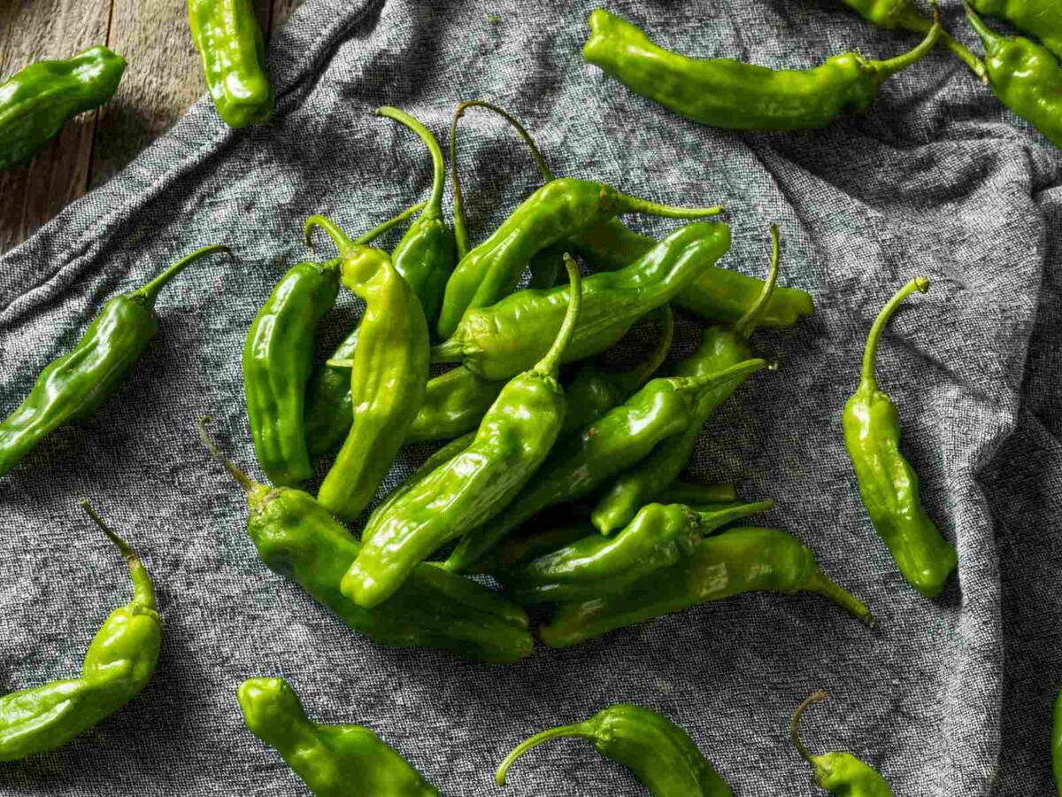 Shishito Pepper Cooking Techniques, Heat Scale, and Recipes Butter N