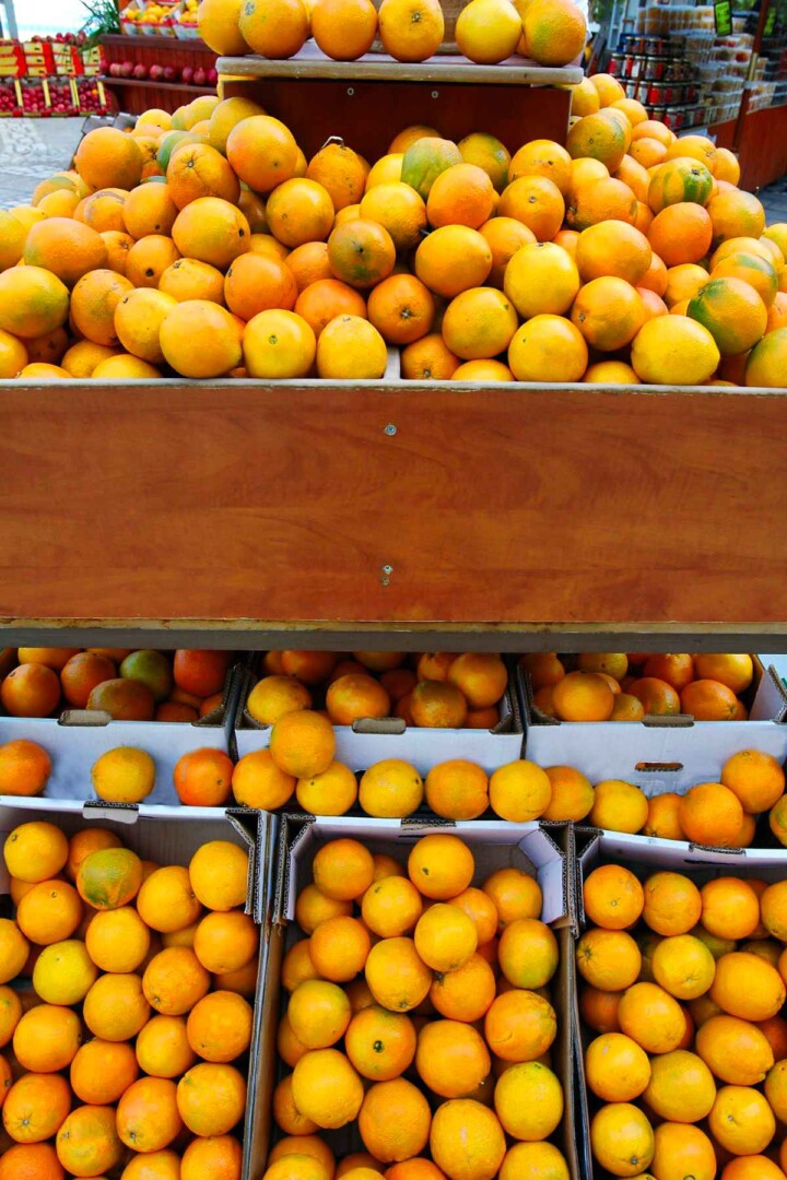 47 Types of Oranges 🍊 AtoZ Defined Photos Butter N Thyme