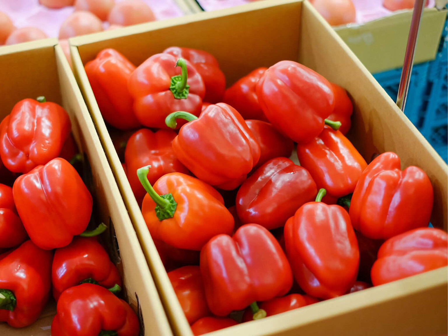 Are Peppers Fruits 🌶️ Botanical Culinary Explanation Butter N Thyme