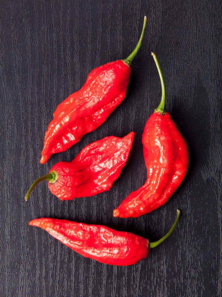 Are Peppers Fruits 🌶️ Botanical Culinary Explanation Butter N Thyme