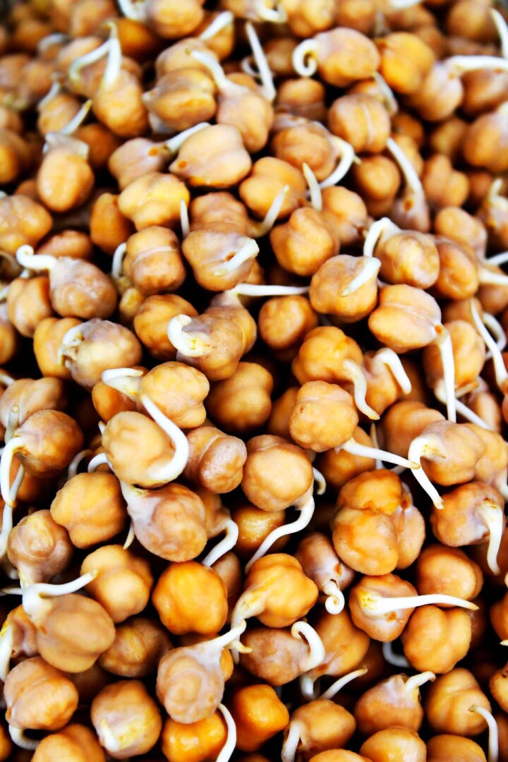 Garbanzo Beans Chickpeas