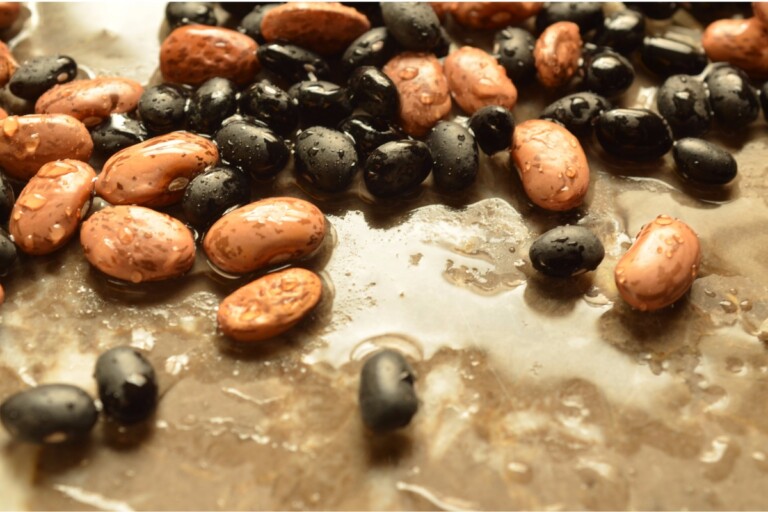 Pinto Beans vs Black Beans Comprehensive Comparison Butter N Thyme