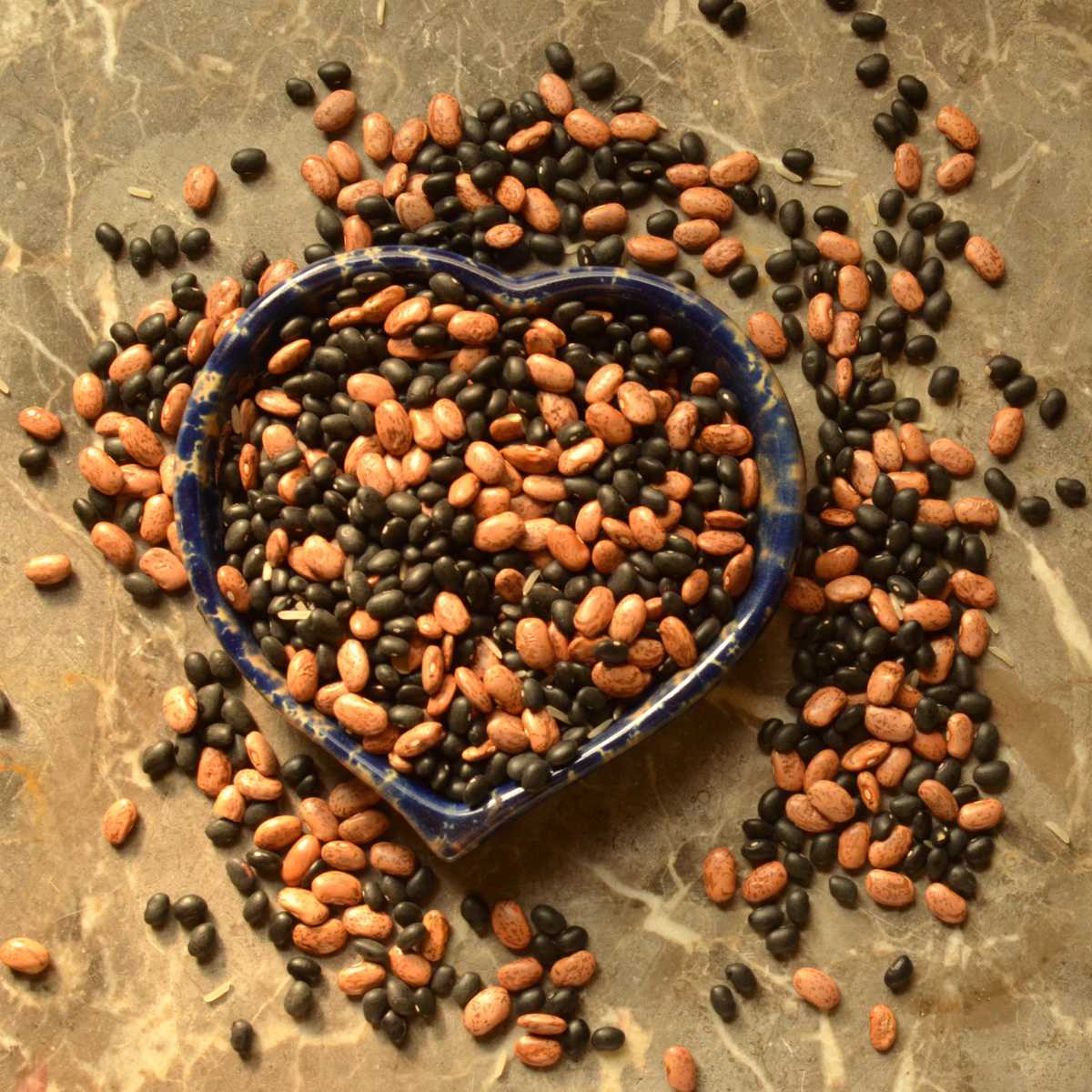 Pinto Beans vs Black Beans Comprehensive Comparison Butter N Thyme