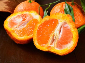 Sumo Oranges 🍊 Everything You Need to Know - Butter N Thyme