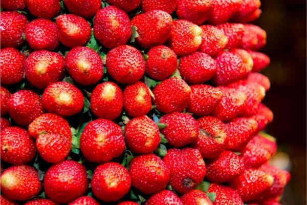 When Are Strawberries In Season - Butter N Thyme