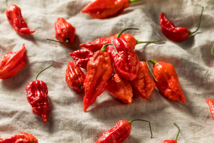 Pimental Exploring Hybrid and Heirloom Pepper Varieties - Butter N Thyme