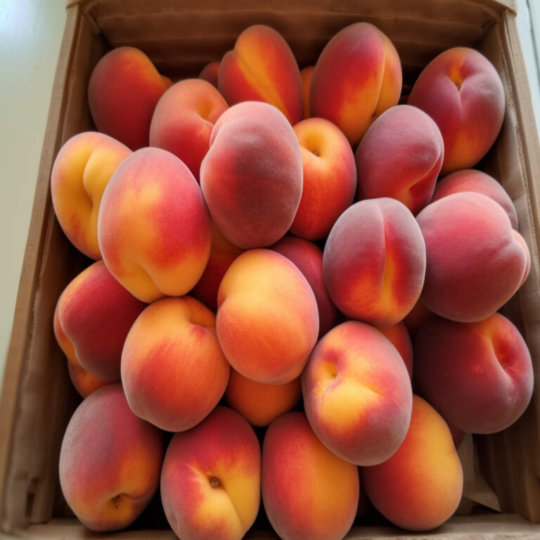 50 Types of Peaches 🍑 AtoZ Defined Photos Butter N Thyme