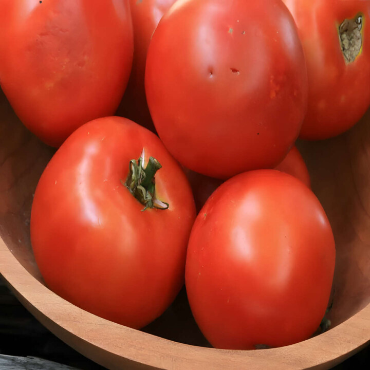 24 Best Tomatoes For Sauce Butter N Thyme