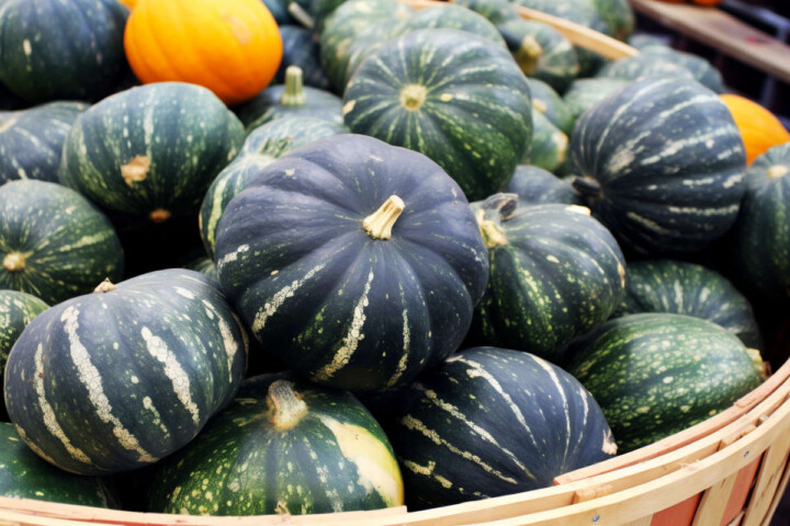 Kabocha Squash: Cuisines, Recipes, Uses - Butter N Thyme