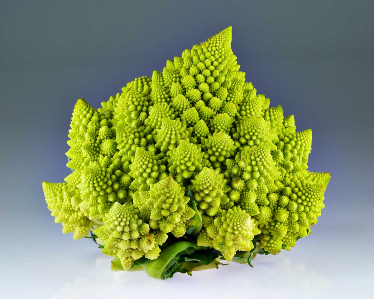 Broccoflower Cauliflower.