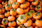 Persimmons