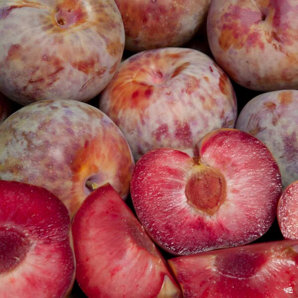 Plumcot vs. Pluot Key Differences Butter N Thyme