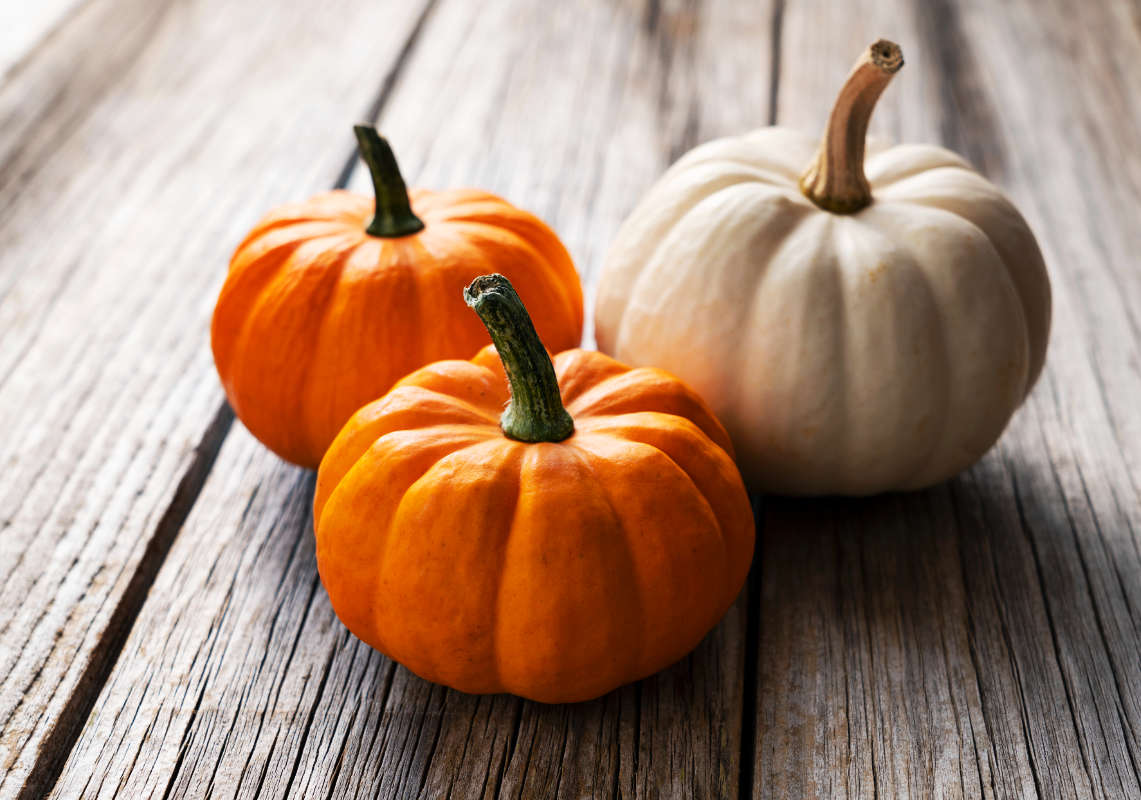 Pumpkins, one orange and one white.