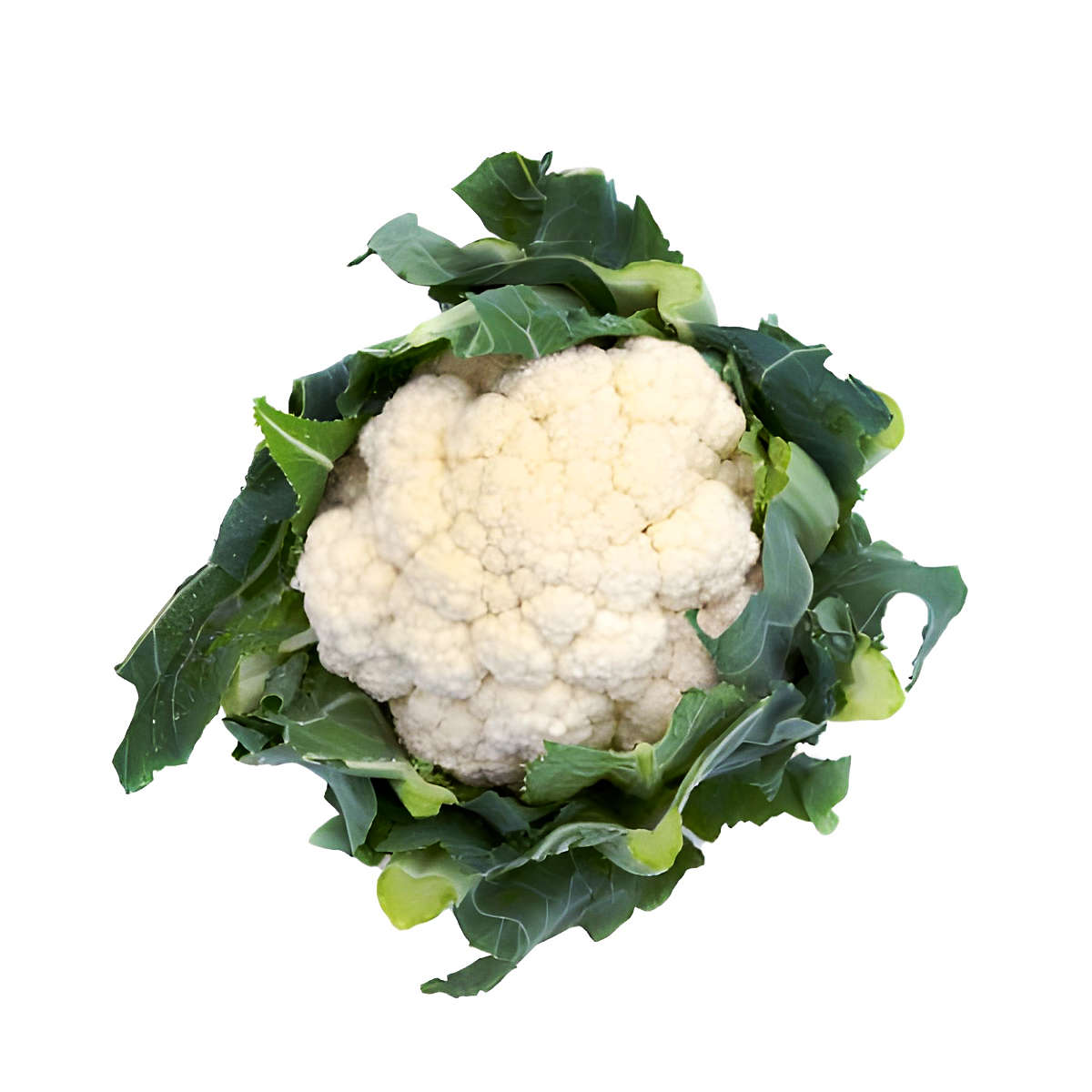 Denali Cauliflower.