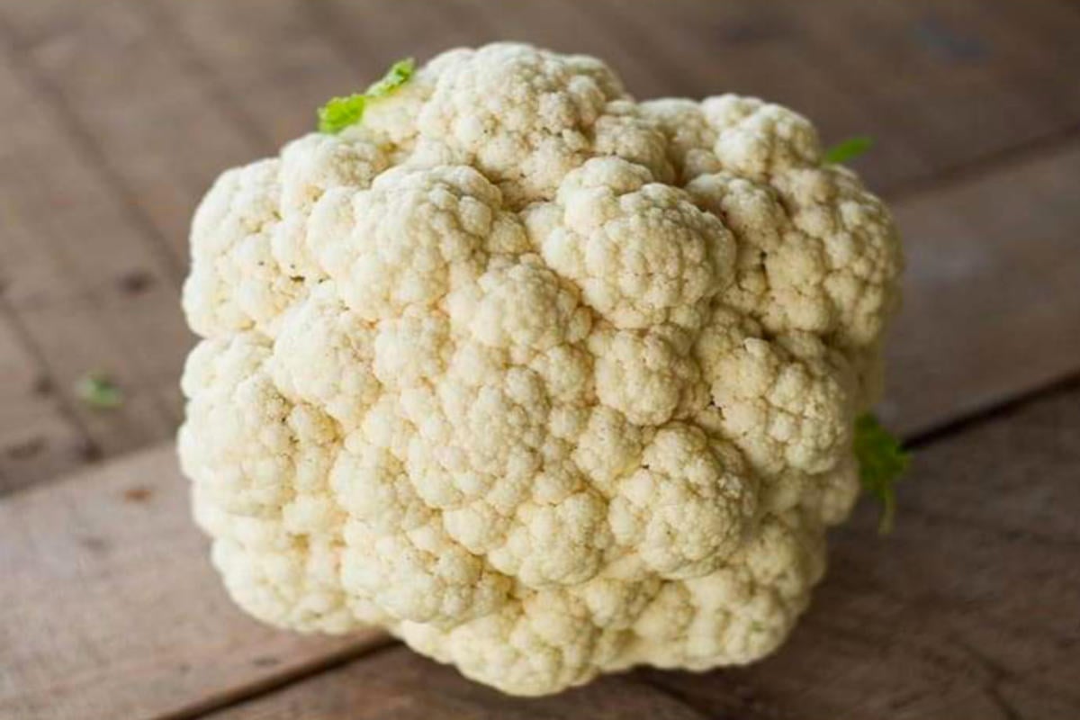Early Snowball Cauliflower.