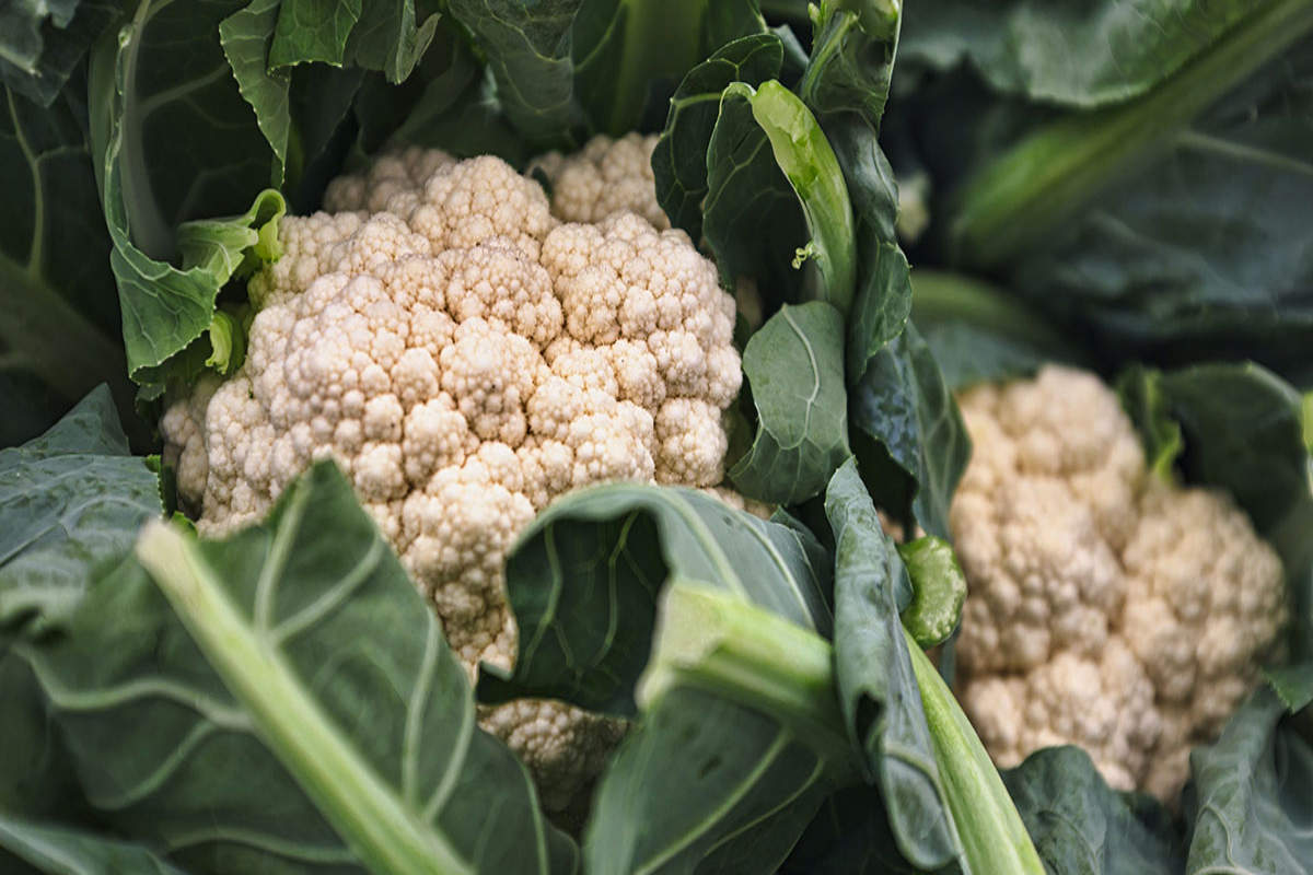 Fioretto Cauliflower.