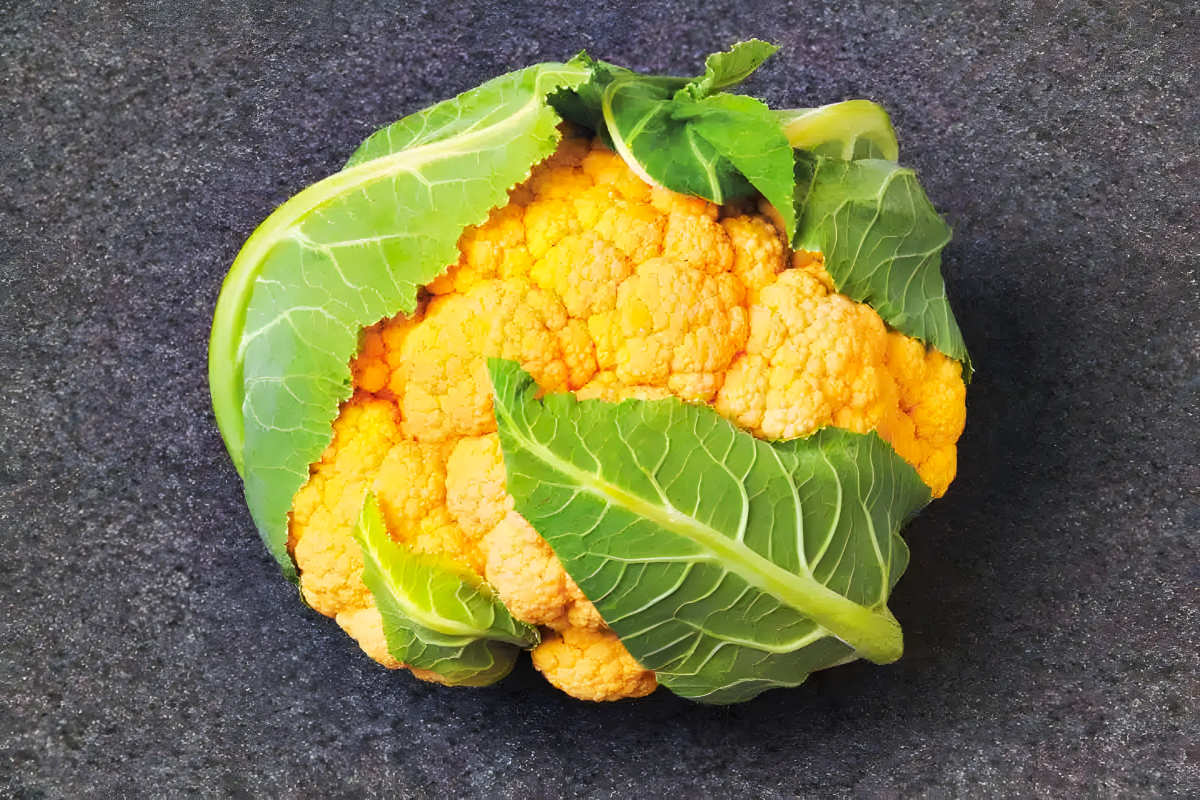 Flame Star Hybrid Cauliflower.