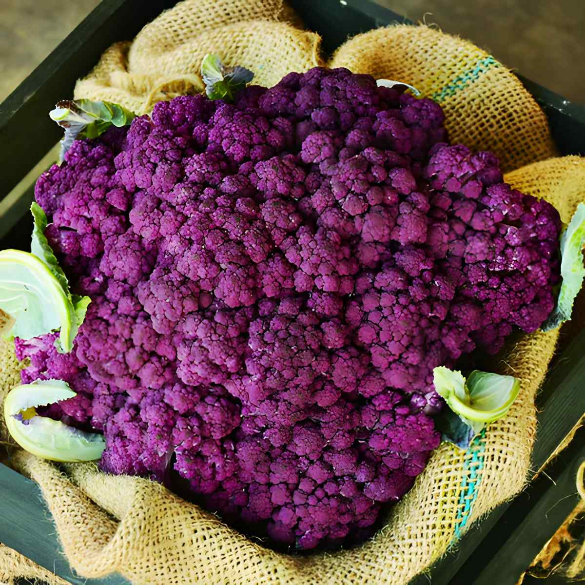 Graffiti Cauliflower.