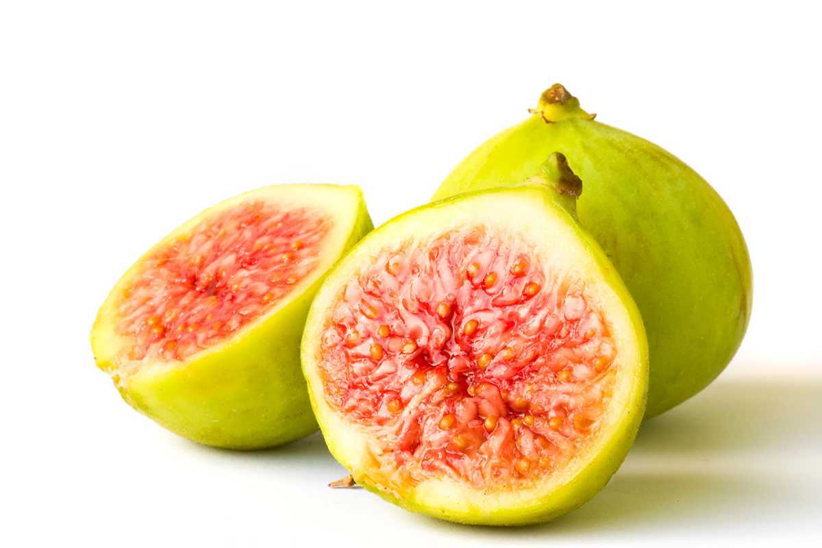 Fico Bianco Figs.
