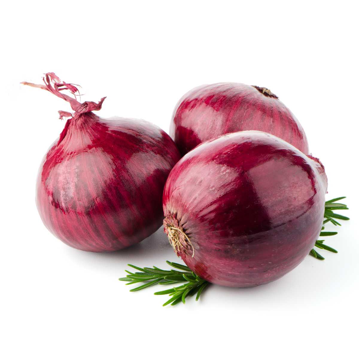 Globe Onions.