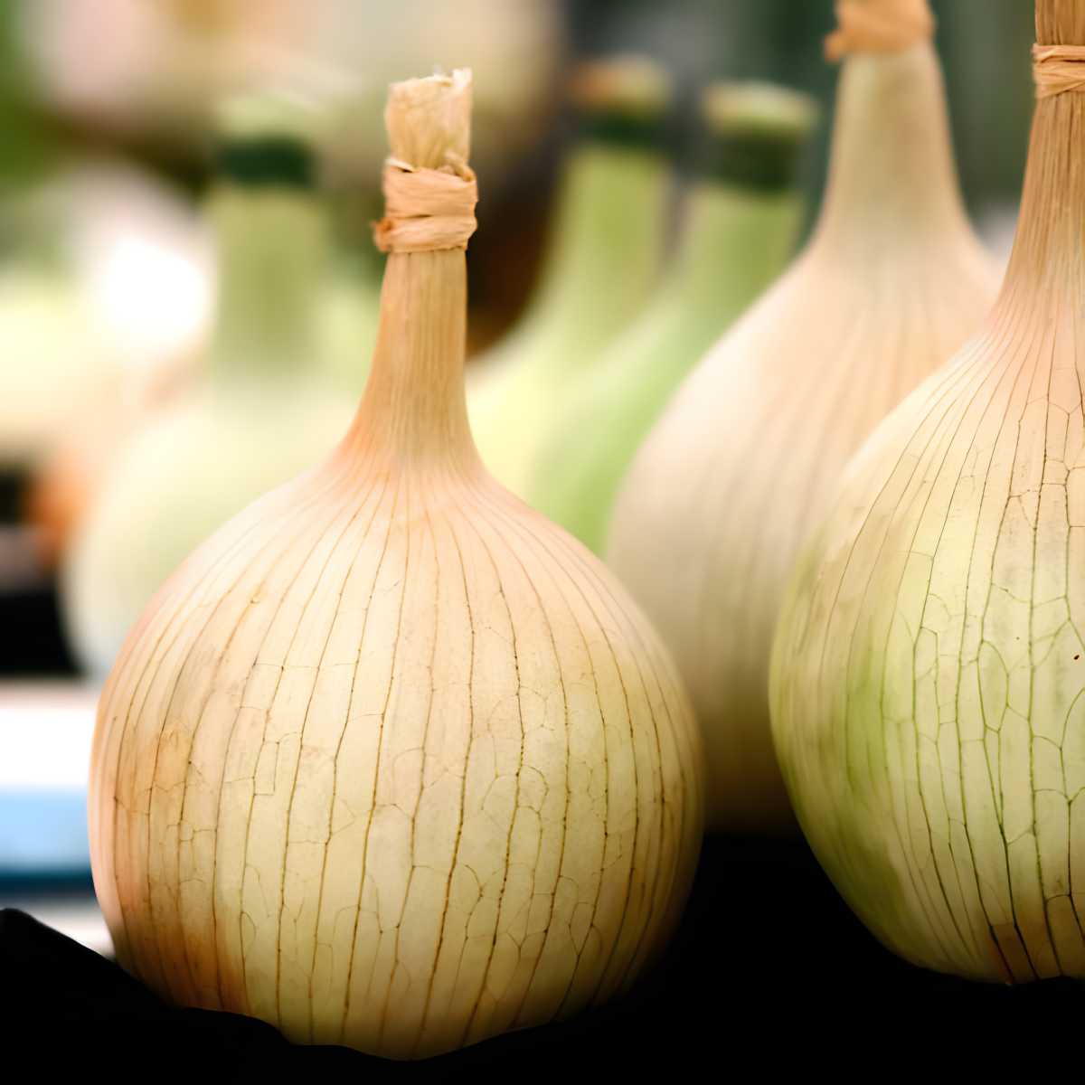 Kelsae Sweet Onion.