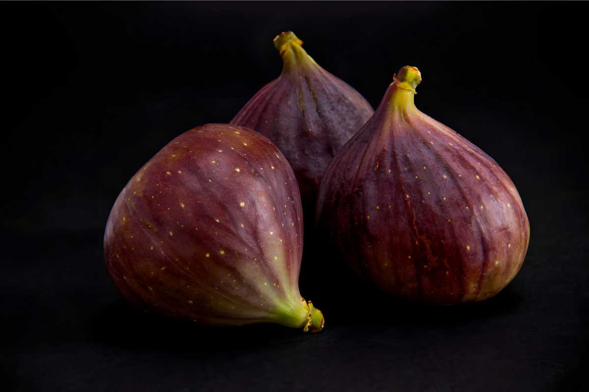 Mt. Etna Figs.