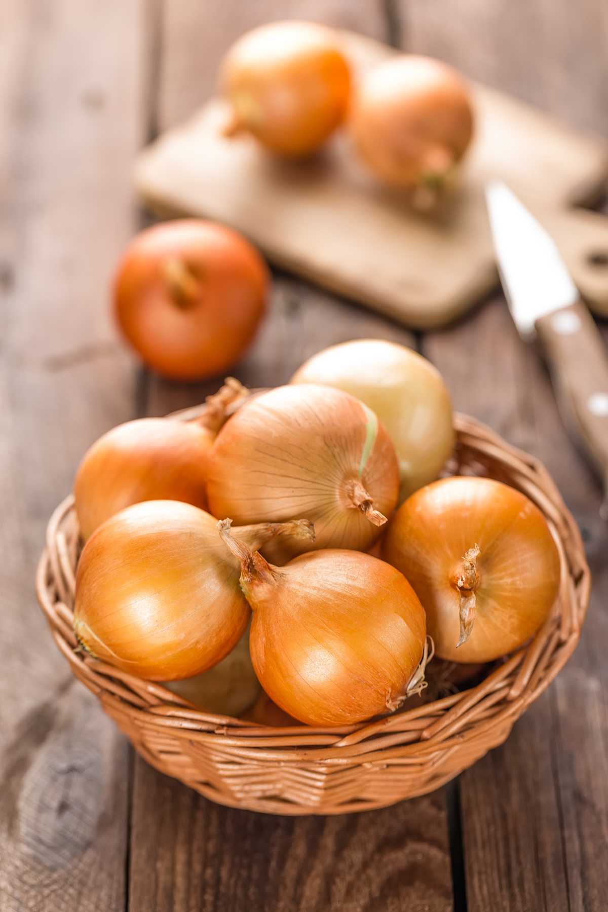 Patterson Onion.
