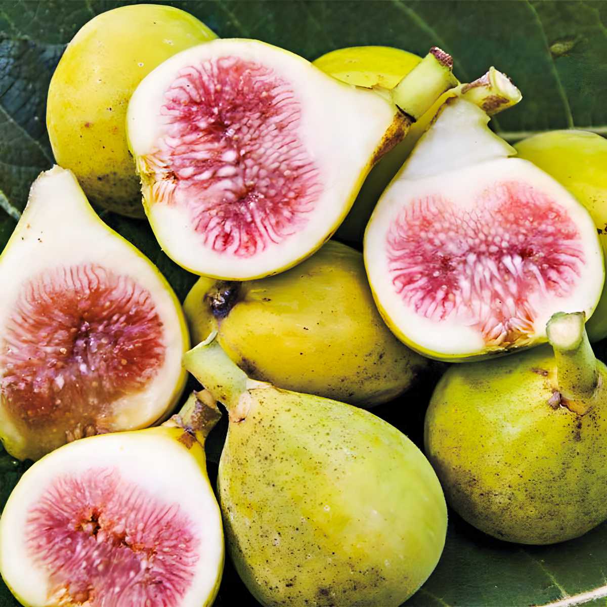 Peters Honey Figs.