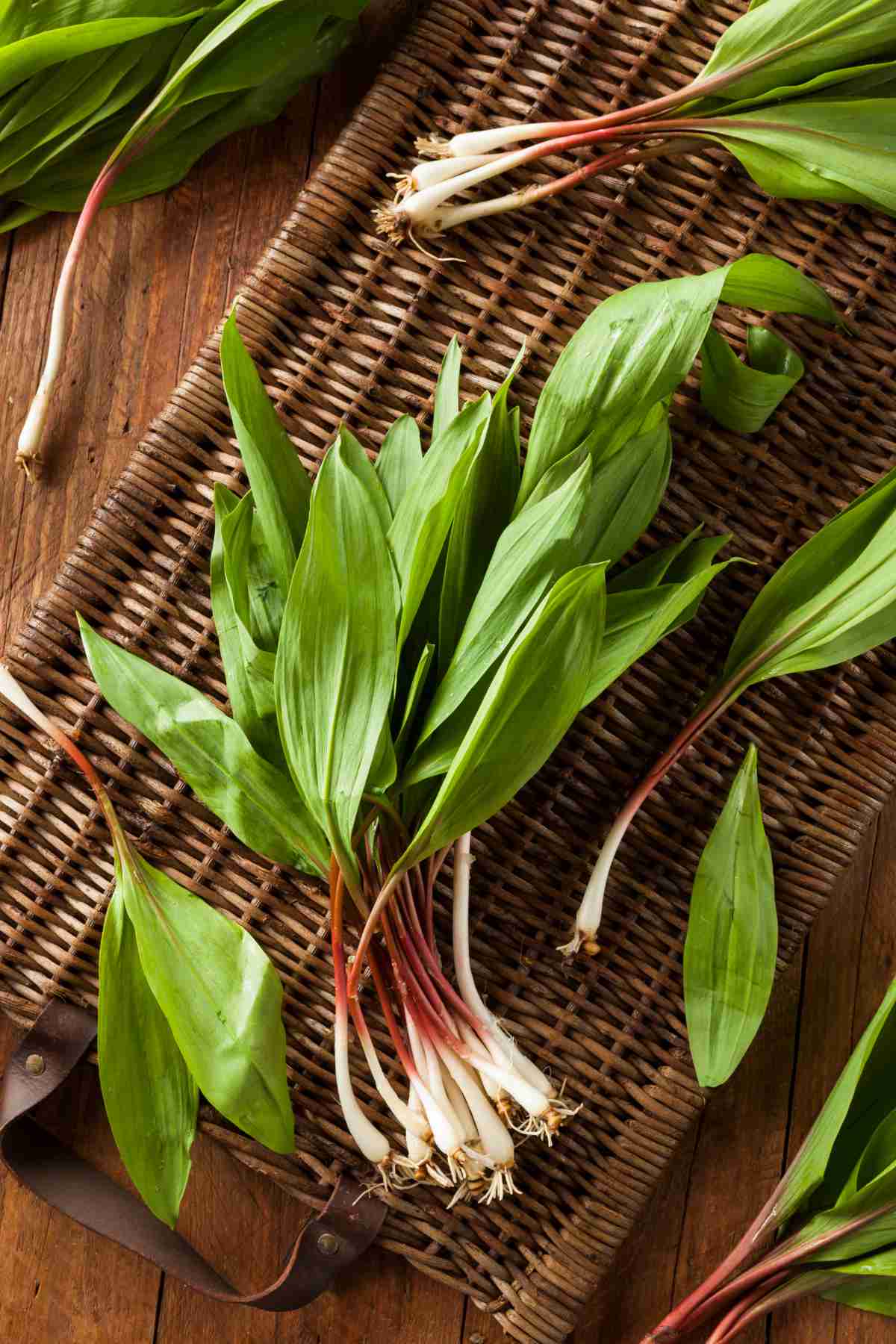 Ramps Onion.