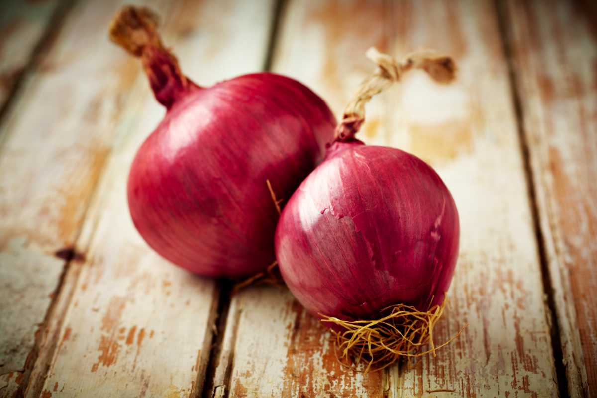 Red Baron Onion.