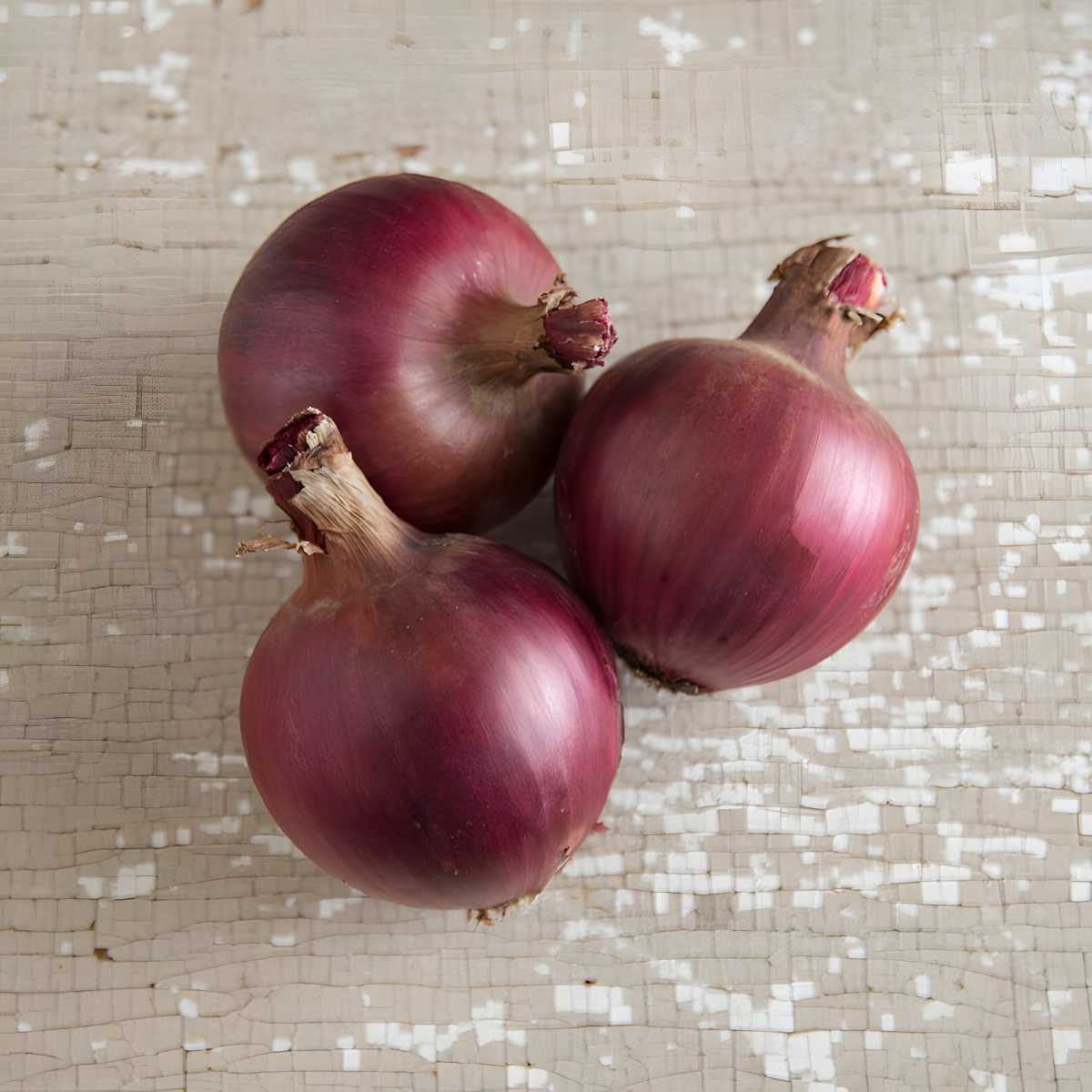 Redwing Onion.