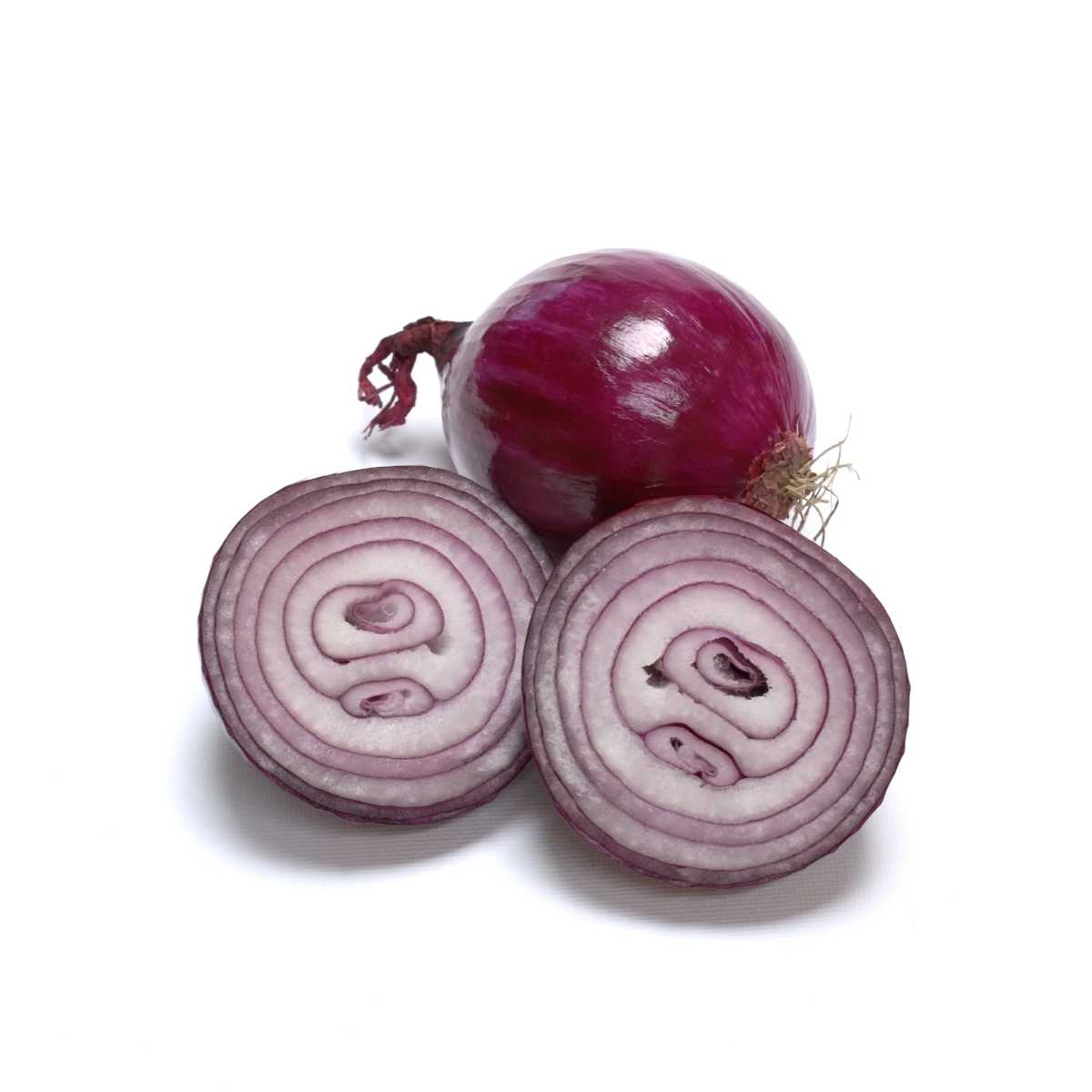 Southport Red Globe Onion.