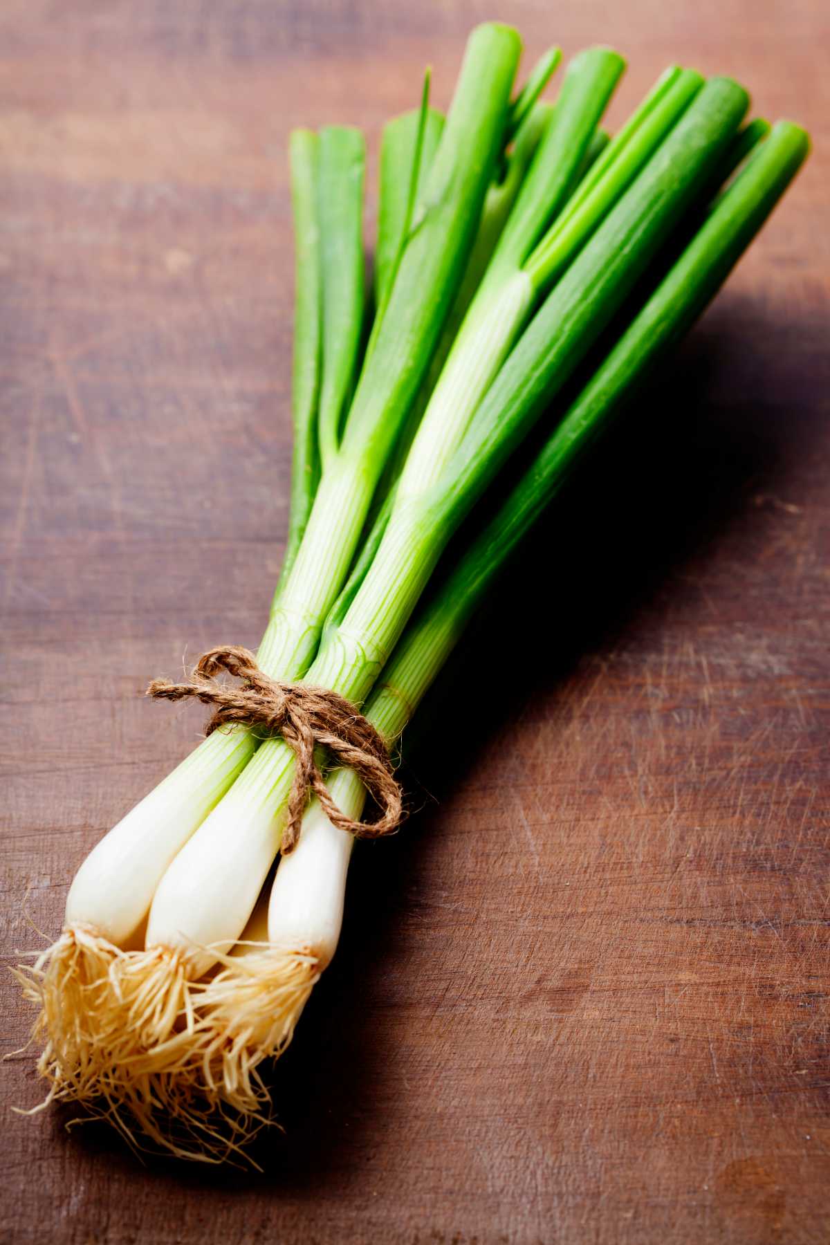 Spring Onion.