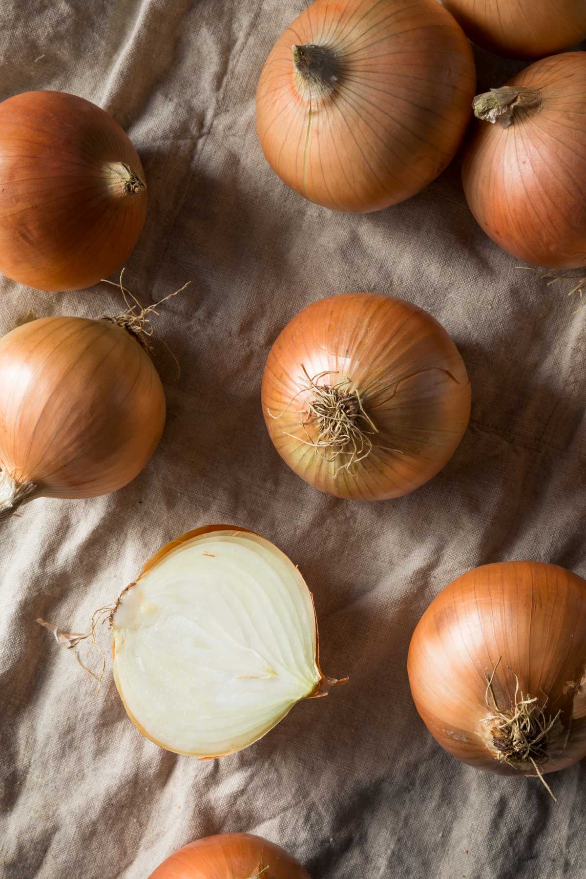 Sweet Onion.