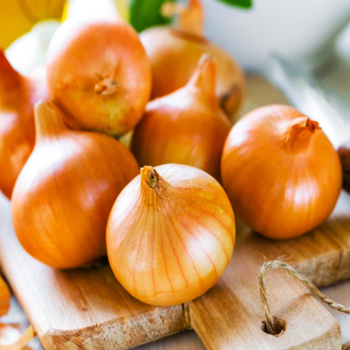 Texas Sweet Onion.