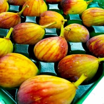 Types of Figs