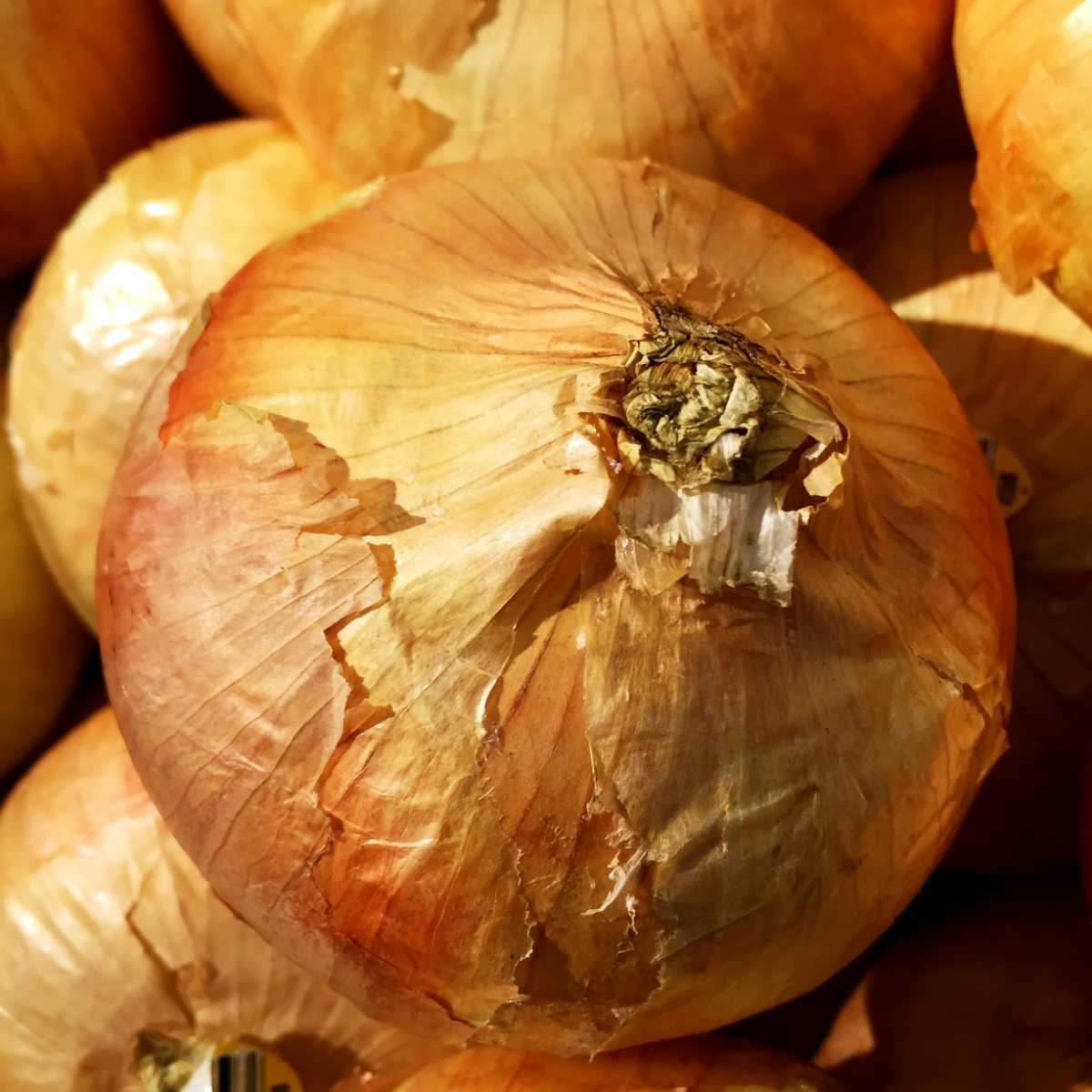 Walla Walla Sweet Onion.
