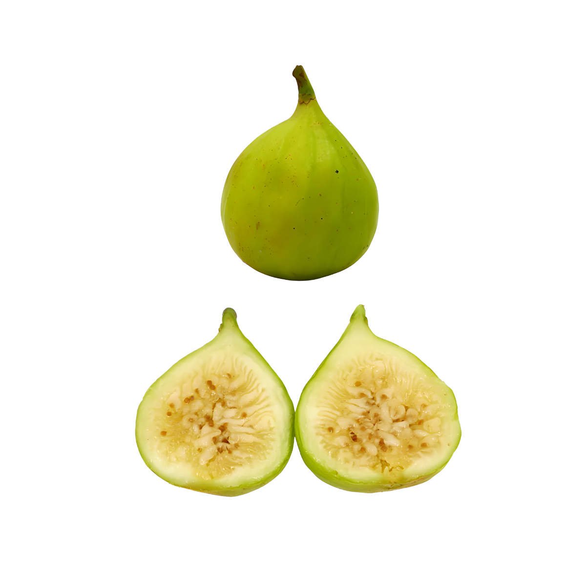 White Marseilles Figs.