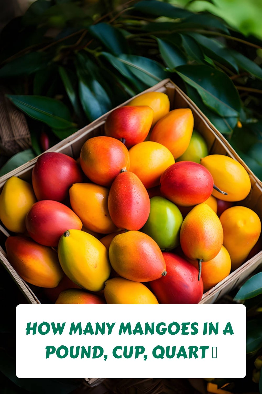 How Many Mangoes In A Pound, Cup, Quart 🥭 Butter N Thyme