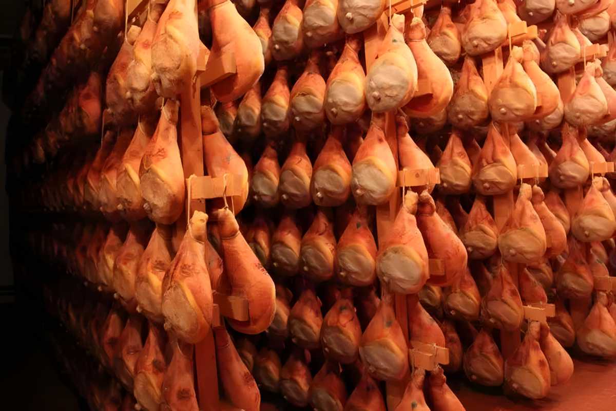 Prosciutto di Parma in temperature controlled curing room.