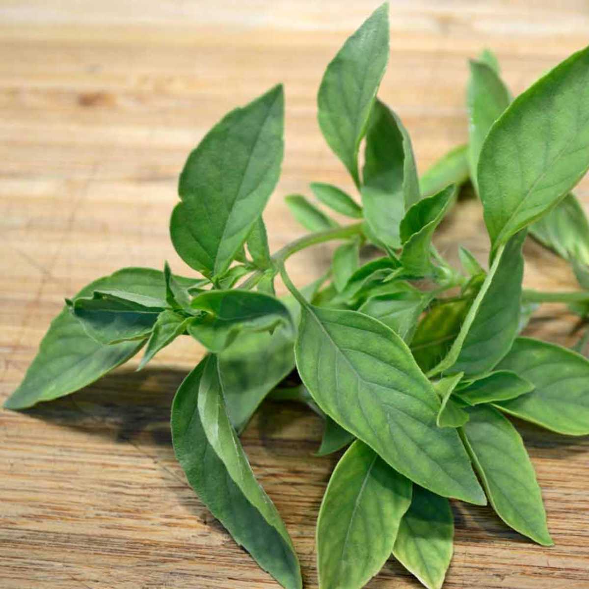 Lime Basi on kitchen table.