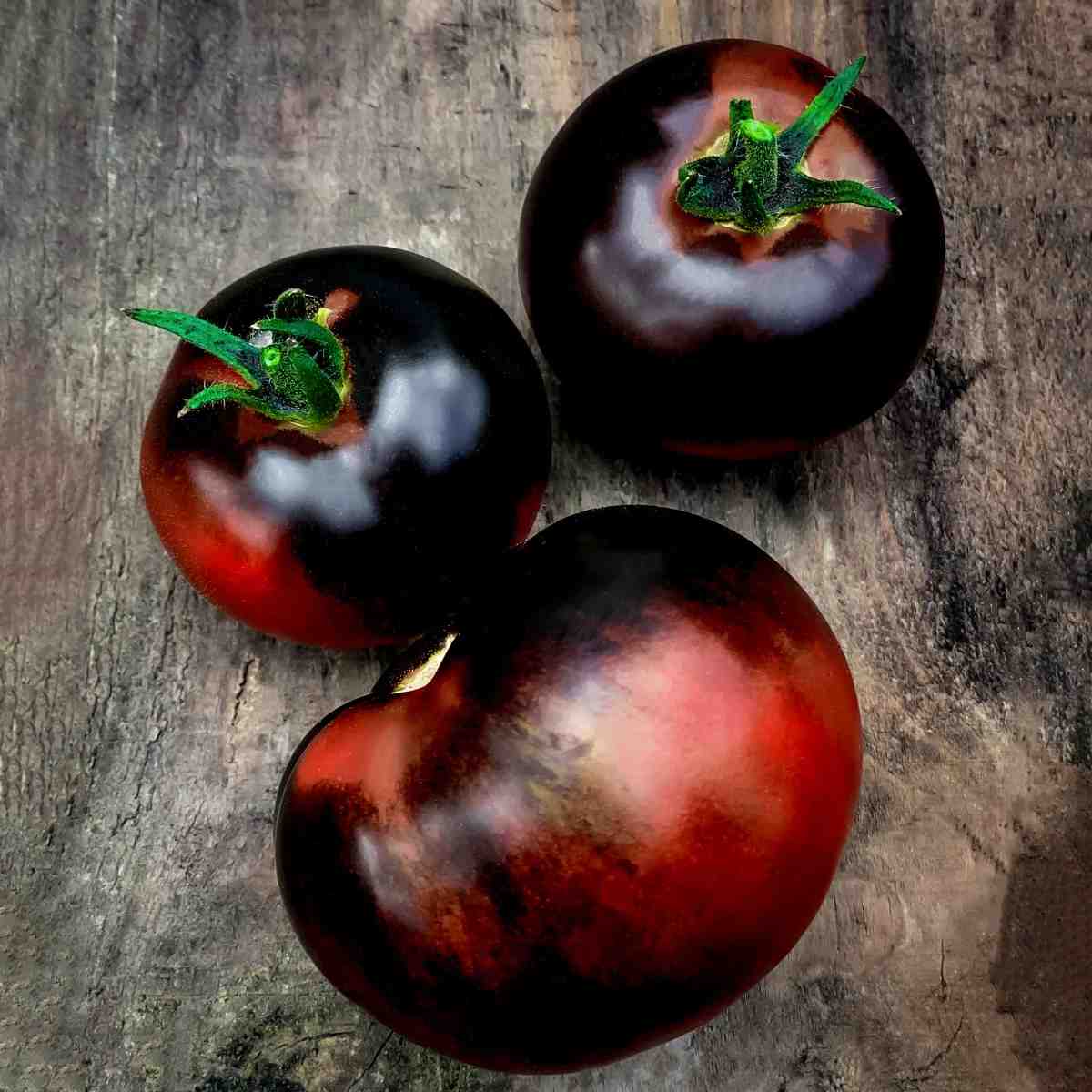 Indigo Rose tomatoes with deep purple skin, a flavorful heirloom-style tomato for salads and slicing