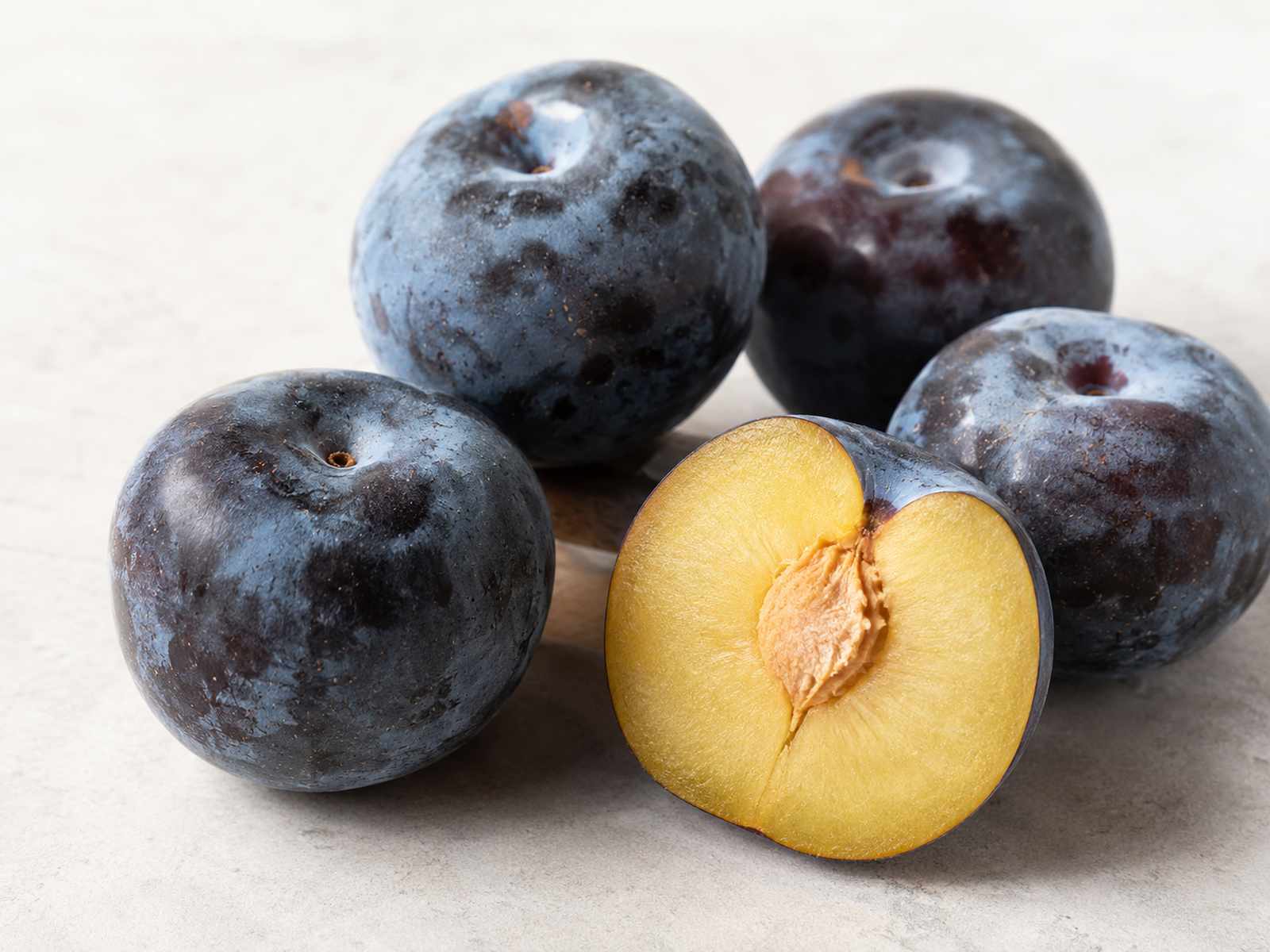 Dark Catalina plums hanging on a tree.
